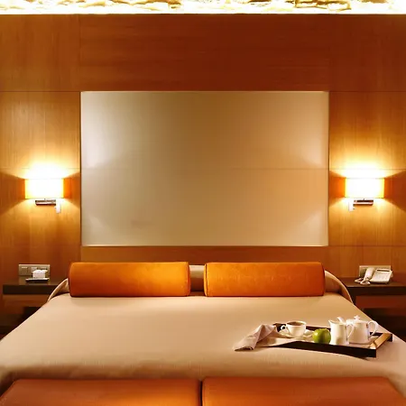 Hotel Altair